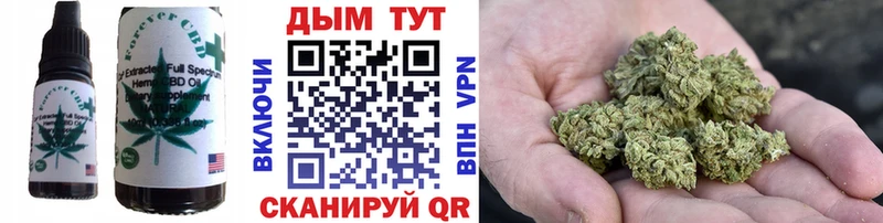 Купить где  Городище  Еда ТГК конопля 