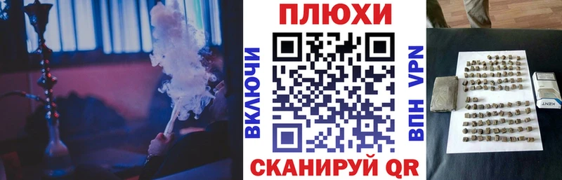 ГАШ Premium  Купить где  Городище 